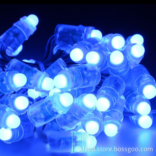 BLUE IP67 F8 DC12V 12mm High Quality Waterproof String Led Pixel Light